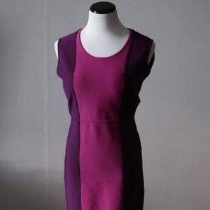 BCBG Color Block Dress - Size Large.